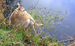 20080420_53.jpg