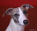 DSC00036.JPG