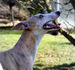 DSC00074.JPG