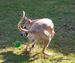 DSC00133.JPG