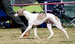 DSC00143.JPG