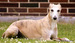 DSC00221-1.JPG