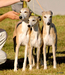 DSC00360.JPG