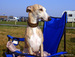 DSC00370.JPG