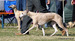 DSC00506.JPG