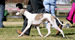 DSC00581.JPG