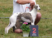 DSC00678.JPG