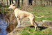 DSC00783.JPG