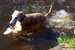 DSC00794.JPG