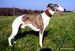 DSC00866.JPG