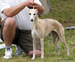 DSC01201.JPG
