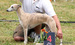 DSC01218.JPG
