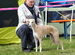 DSC01318.JPG