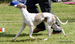DSC01342.JPG