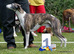 DSC01444.JPG