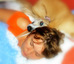 DSC01537.JPG