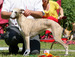 DSC01589.JPG