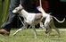 DSC01620.JPG