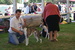 DSC02397.JPG