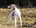 DSC02522.JPG