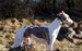 DSC02526.JPG