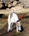 DSC02535.JPG