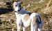 DSC02544.JPG