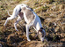 DSC02547.JPG