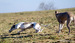 DSC02548.JPG