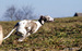 DSC02549.JPG