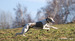 DSC02550.JPG