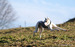 DSC02551.JPG