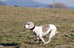 DSC02554.JPG