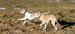 DSC02556.JPG
