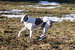 DSC02558.JPG