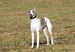 DSC02564.JPG