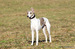 DSC02565.JPG