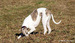 DSC02572.JPG