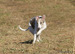 DSC02574.JPG