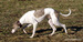 DSC02576.JPG