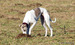 DSC02604.JPG