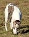 DSC02606.JPG