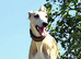 DSC03488.JPG