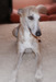DSC03495.JPG