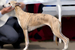 DSC03569.JPG
