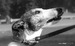 DSC03617-1.JPG