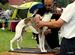 DSC04479.JPG