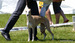 DSC05337.JPG