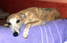 DSC05353.JPG
