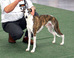 DSC05425.JPG